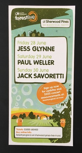 Jess glynne paul weller - jess,